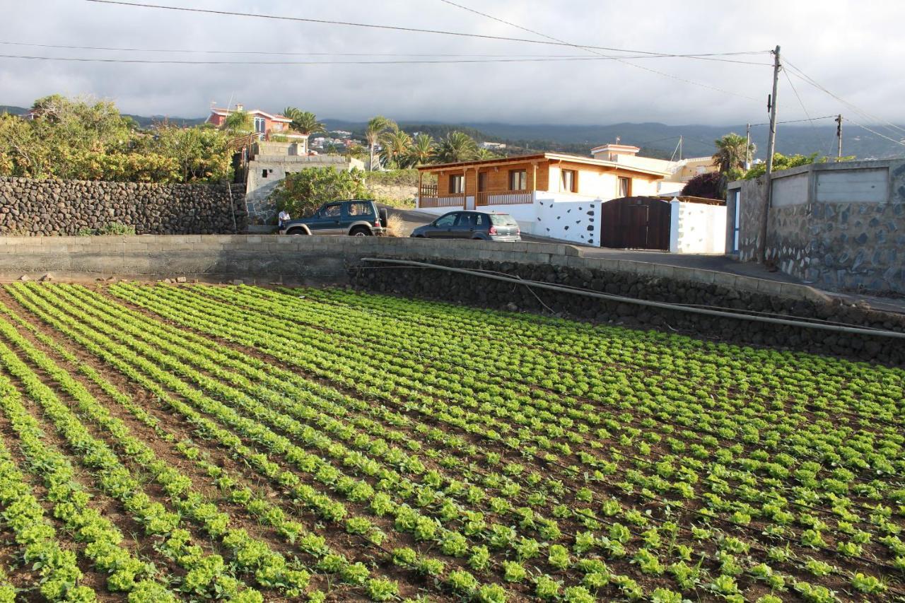 Chalet Las Vinas Icod De Los Vinos Exterior photo